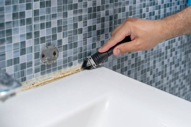 Best Toxic Mold Removal  in Sturtevant, WI